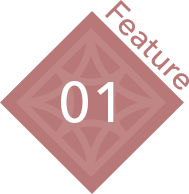 Feature01